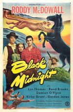 Watch Black Midnight 9movies