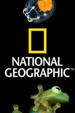 Watch National Geographic Wild Dam Beavers 9movies