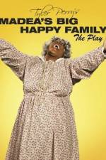 Watch Madea's Big Happy Family 9movies