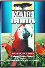 Watch PBS Nature - Extraordinary Birds 9movies