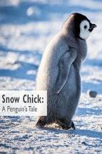 Watch Snow Chick: A Penguin's Tale 9movies