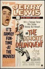 Watch The Delicate Delinquent 9movies