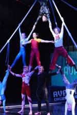 Watch Circus School 9movies