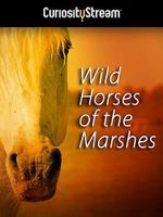 Watch Wild Horses of the Marshes 9movies