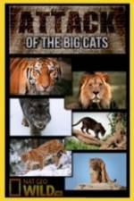 Watch National Geographic Attack Of The Big Cats 9movies