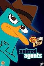 Watch Phineas And Ferb Animal Agents 9movies