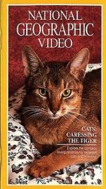 Watch Cats: Caressing the Tiger 9movies