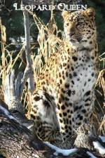 Watch Leopard Queen 9movies