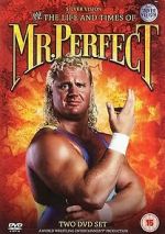 Watch The Life and Times of Mr. Perfect 9movies