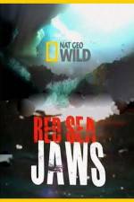 Watch National Geographic Red Sea Jaws 9movies