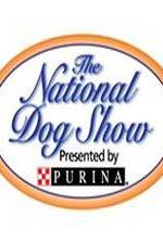 Watch National Dog Show 9movies