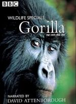 Watch Gorilla Revisited with David Attenborough 9movies