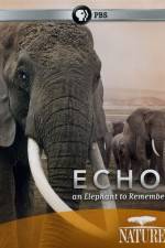 Watch Echo: An Elephant to Remember 9movies