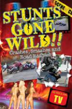 Watch Stunts Gone Wild: Crashes, Smashes & Road Rashes! 9movies