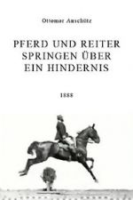 Watch Pferd und Reiter Springen ber ein Hindernis 9movies