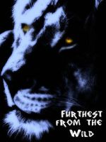 Watch Furthest from the Wild 9movies
