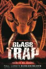 Watch Glass Trap 9movies