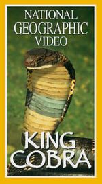 Watch King Cobra 9movies