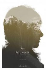 Watch Sea Horse 9movies