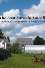 Watch The Last Farm in Lowell 9movies