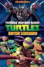 Watch Teenage Mutant Ninja Turtles: Enter Shredder 9movies