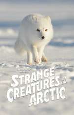 Watch Strange Creatures of the Arctic (TV Special 2022) 9movies