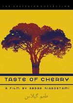 Watch Taste of Cherry 9movies