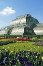 Watch Cruickshank on Kew: The Garden That Changed the World 9movies
