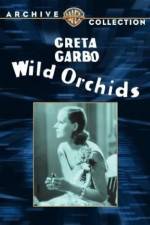 Watch Wild Orchids 9movies