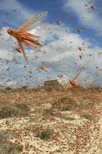 Watch Swarm Chasers: Locusts 9movies