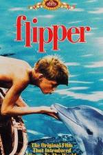 Watch Flipper 9movies