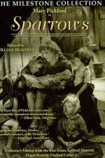 Watch Sparrows 9movies
