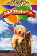 Watch Napoleon 9movies