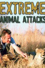 Watch Extreme Animal Attacks 9movies