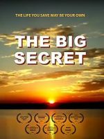 Watch The Big Secret 9movies