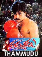 Watch Thammudu 9movies