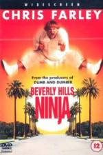 Watch Beverly Hills Ninja 9movies