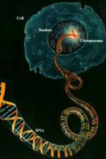 Watch Horizon: Miracle Cure? A Decade of the Human Genome 9movies