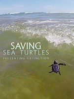 Watch Saving Sea Turtles: Preventing Extinction 9movies