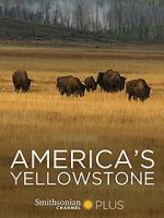 Watch America\'s Yellowstone 9movies