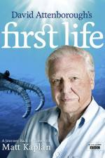 Watch First Life 9movies