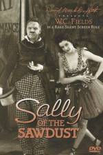 Watch Sally of the Sawdust 9movies