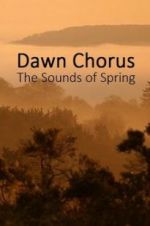 Watch Dawn Chorus: The Sounds of Spring 9movies