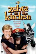 Watch Zebra in the Kitchen 9movies