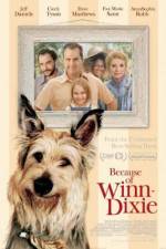Watch Because of Winn-Dixie 9movies