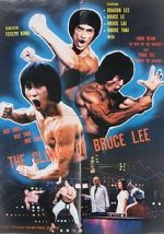 Watch The Clones of Bruce Lee 9movies