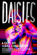 Watch Daisies 9movies