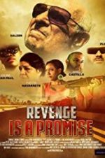 Watch Revenge Is a Promise 9movies