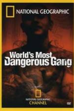 Watch National Geographic World's Most Dangerous Gang 9movies