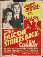 Watch The Falcon Strikes Back 9movies